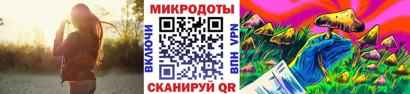 mega как войти  Амурск  Псилоцибиновые грибы мицелий  наркотики 